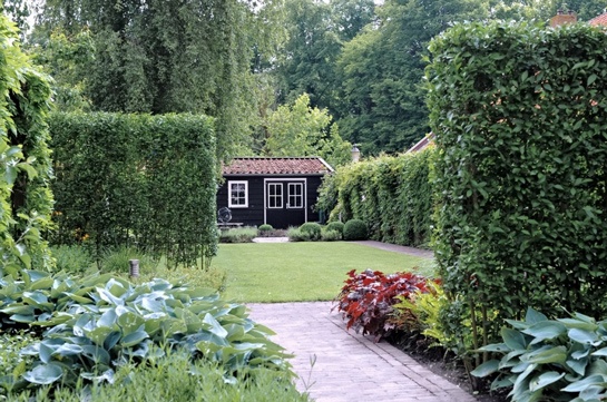 Tuin aanleggen Breda