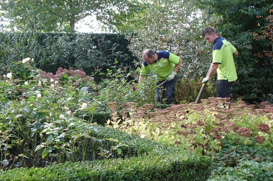 Tuinonderhoud Breda